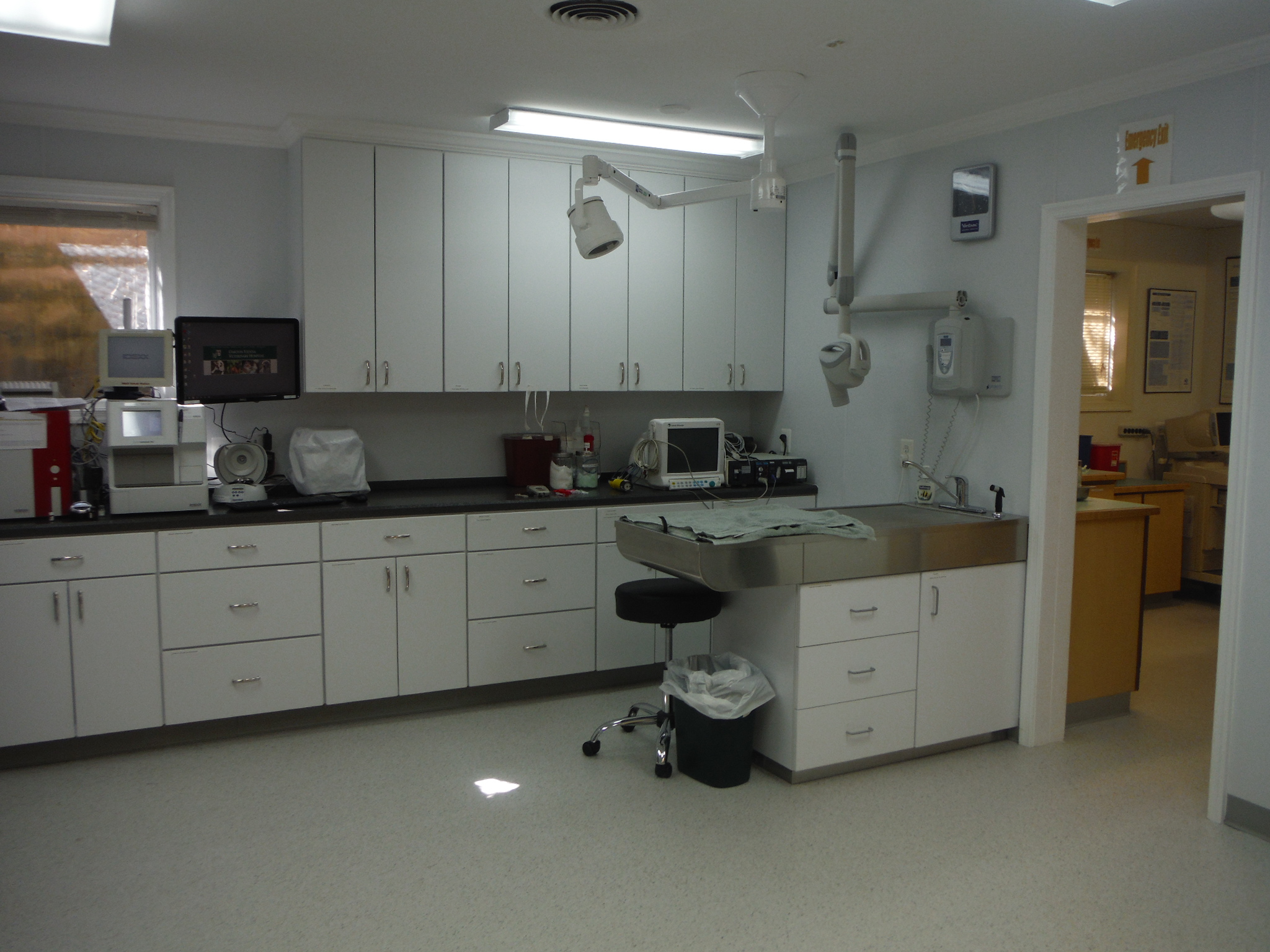 OaktonVienna Veterinary Hospital Tour Animal Hospital Northern VA